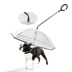 Transparent umbrella for dogs