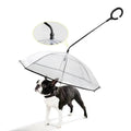 Transparent umbrella for dogs