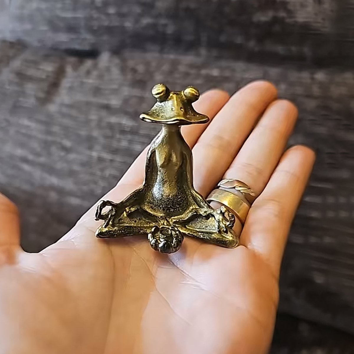 Zenora Brass Meditating Frog Incense Holder | Handcrafted solid brass décor piece for mindful living and relaxation