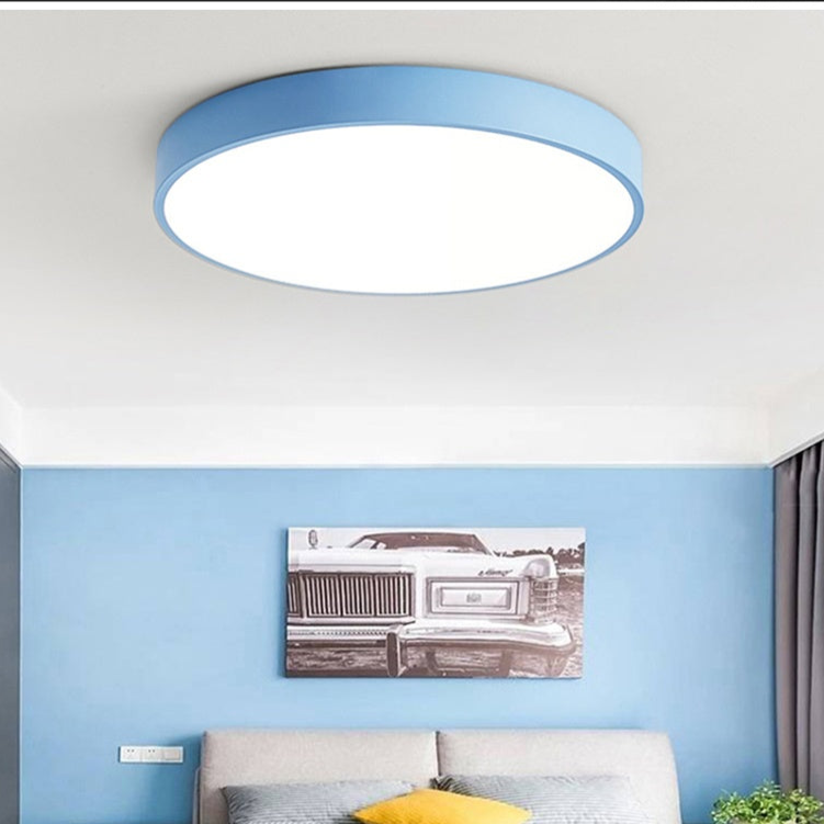 Wood Macaroon Circular Ceiling Light